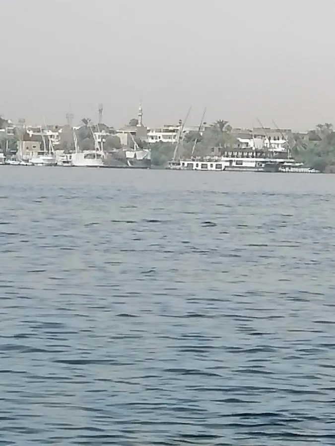 Windsor Hotel Luxor 3*,  Egypt